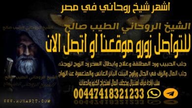 اشهر شيخ روحاني في مصر