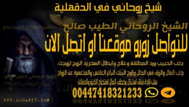 شيخ روحاني في الدقهلية