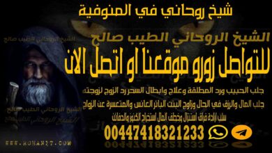 شيخ روحاني في المنوفية