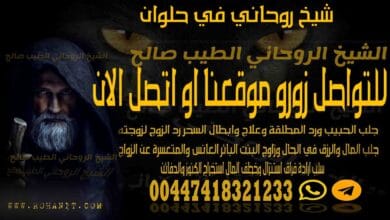 شيخ روحاني في حلوان