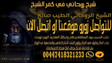 شيخ روحاني في كفر الشيخ