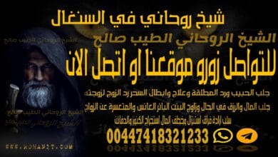 شيخ روحاني في السنغال