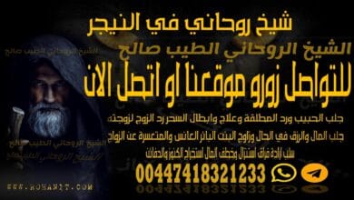 شيخ روحاني في النيجر