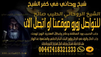 شيخ روحاني في كفر الشيخ