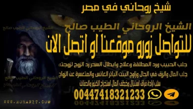 شيخ روحاني في مصر