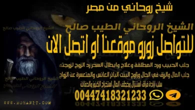 شيخ روحاني من مصر